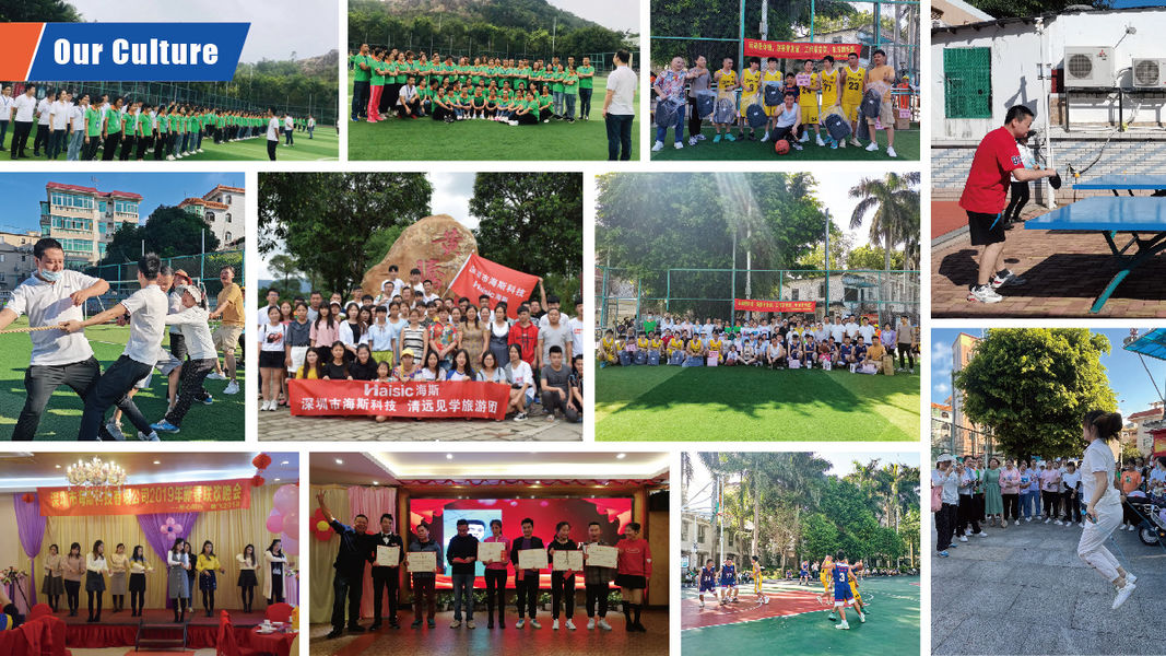 Shenzhen New Hong Energy Co.,Ltd cadena de producción del fabricante